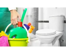 Очищаючі та миючі засоби для ванних кімнат та туалетів (85)